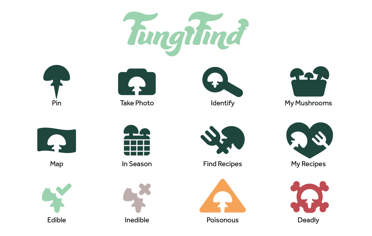 FungiFind Logo & Icons