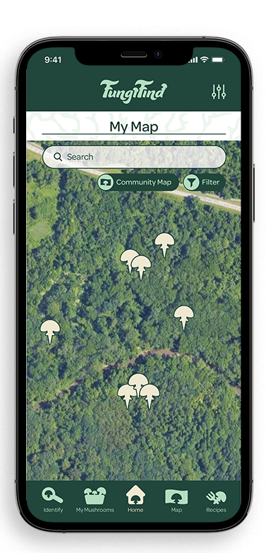 FungiFind My Map
