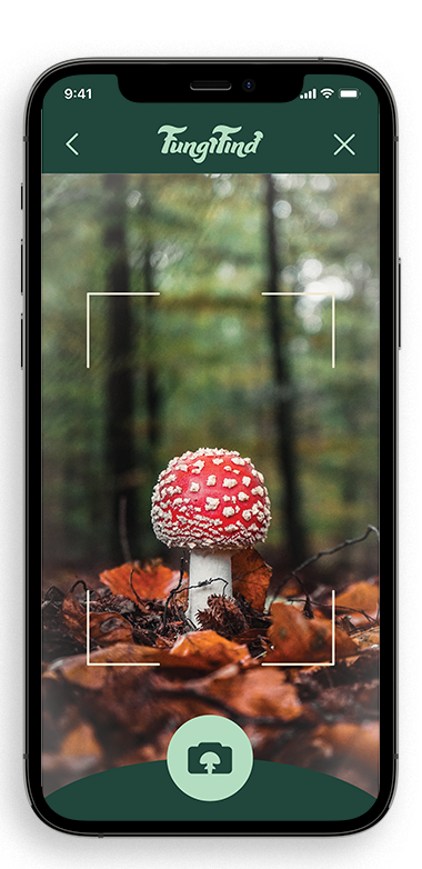 FungiFind Photo Screen